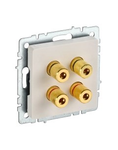 Розетка Brite BR-S40-K10 Iek