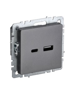 Розетка IEK Brite BR-U22-018-K46 Iek