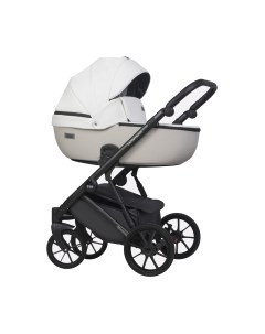 Детская универсальная коляска Riko Montana Ecco 2 в 1