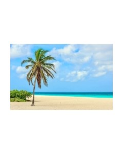 Фотообои листовые Citydecor Море и водопады 46