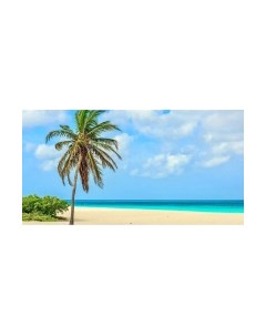 Фотообои листовые Citydecor Море и водопады 46