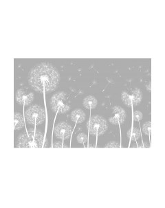 Фотообои листовые Citydecor Цветы и растения 9