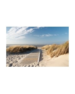 Фотообои листовые Citydecor Природа 13