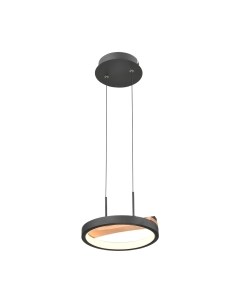 Потолочный светильник Velante 450-023-01