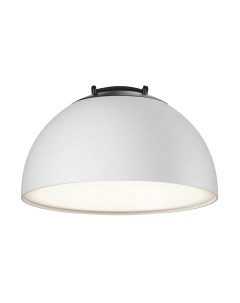 Потолочный светильник Maytoni Bowl TR126B-20W4K-W