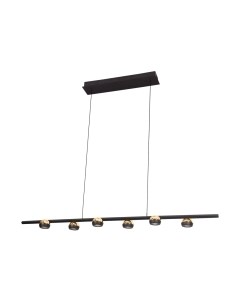 Люстра Lussole Lassen LSP-7254