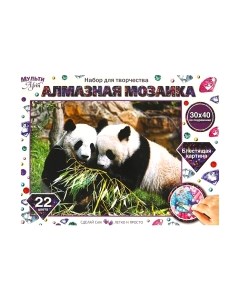 Набор алмазной вышивки Панды / AM30X40-PANDS Multiart
