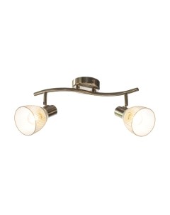 Потолочный светильник Aitin-Pro НПБ 02-2x60-102 / 51867/2 Aitin-pro