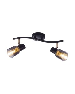 Потолочный светильник Aitin-Pro НПБ 02-2x60-102 / 51976/2 Aitin-pro