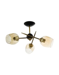 Потолочный светильник N4529/3 Aitin-pro