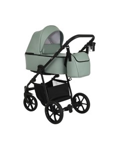 Детская универсальная коляска Pituso Tossa 2 в 1 / TS/25/2