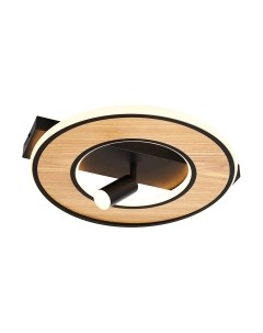 Потолочный светильник F-Promo 4438-2C F-promo