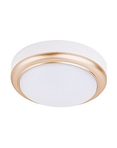 Потолочный светильник TDM SQ0354-0018 Tdm