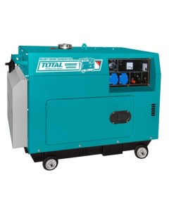 Генератор TP250001-1 Total