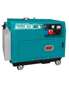 Генератор TP250003-1 Total