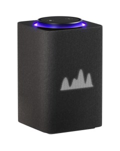 Умная колонка Станция Макс с Алисой и Zigbee (YNDX-00053K) графит Яндекс