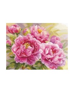 Набор для вышивания Пионы / 2-35 Алиса