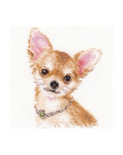 Набор для вышивания Чихуахуа / 1-30 Алиса