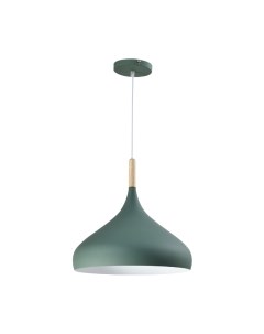 Потолочный светильник Eline / V1296-1P Moderli