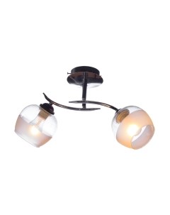 Потолочный светильник Aitin-Pro НПБ 02-2x60-101 / 70162/2 Aitin-pro