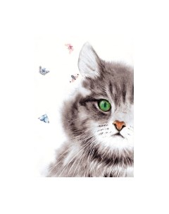 Картина по номерам Пушистый кот / Х-3895 Рыжий кот