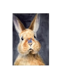 Картина по номерам Милый заяц / Х-4040 Рыжий кот