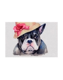 Картина по номерам Бульдог в шляпе / Х-3874 Рыжий кот