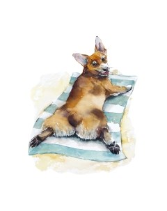 Картина по номерам Корги на отдыхе / Х-3867 Рыжий кот