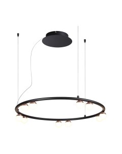 Потолочный светильник FAVOURITE 4320-10P Favourite