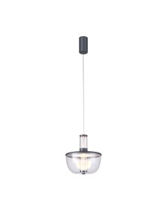 Потолочный светильник FAVOURITE 4312-1P Favourite