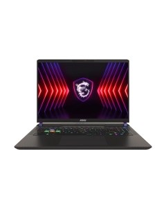 Игровой ноутбук MSI Vector 16 HX A13VHG-648XBY (9S7-15M142-648) Msi