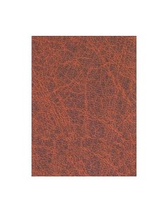 Пленка самоклеящаяся универсальная Color Dekor 8119 Color dekor