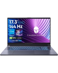 Игровой ноутбук Thunderobot 911 Plus G3 X (JT009T00BRU)
