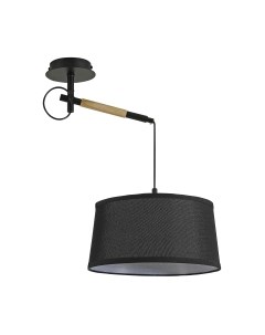 Потолочный светильник F-Promo Eureka 3006-1P F-promo