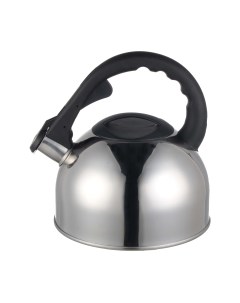 Чайник со свистком 3.0л AST1022 Astiat