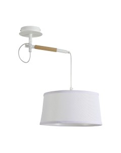 Потолочный светильник F-Promo Eureka 3005-1P F-promo