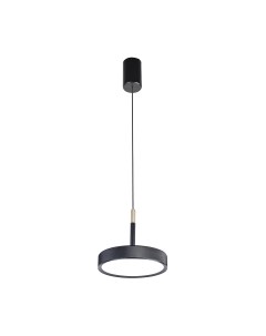 Потолочный светильник 4506-1P Favourite