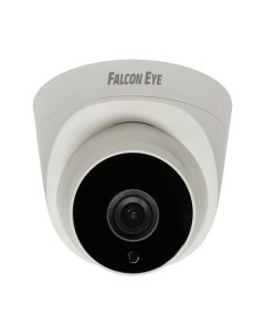 IP-камера FE-IPC-DP2e-30p Falcon eye