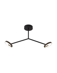 Потолочный светильник FAVOURITE 4401-2C Favourite