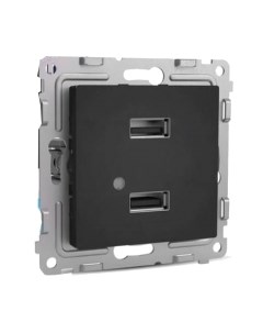 Розетка Tokov Electric Pixel TKE-PX-2USB-C14 Tokov electric