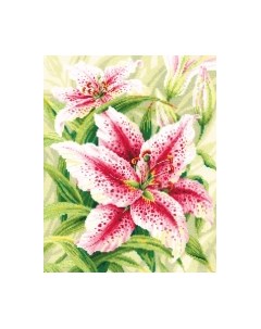 Набор для вышивания Лилии / 2000 Риолис