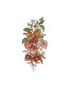 Набор для вышивания Изумрудная ягода / НВ-614М М.п.студия