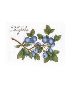 Набор для вышивания Дары природы. Голубика / НВ-617М М.п.студия