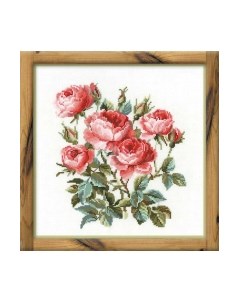 Набор для вышивания Садовые розы / 1046 Риолис