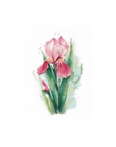 Набор для вышивания Розовый ирис / 1424В Овен