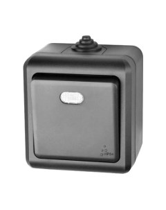 Выключатель Tokov Electric Dita TKL-DT-V1I-C14-IP54 Tokov electric