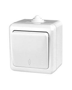 Выключатель Tokov Electric Dita TKL-DT-P1-C14-IP54 Tokov electric