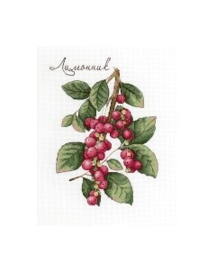 Набор для вышивания Дары природы. Лимонник / НВ-625М М.п.студия