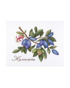 Набор для вышивания Дары природы. Жимолость / НВ-648М М.п.студия