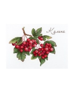 Набор для вышивания Дары природы. Калина / НВ-657М М.п.студия